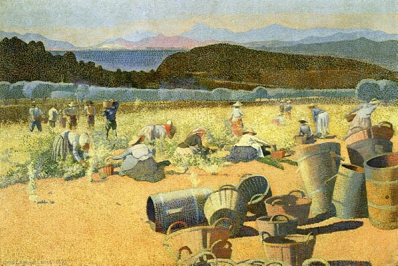 La vendemmia